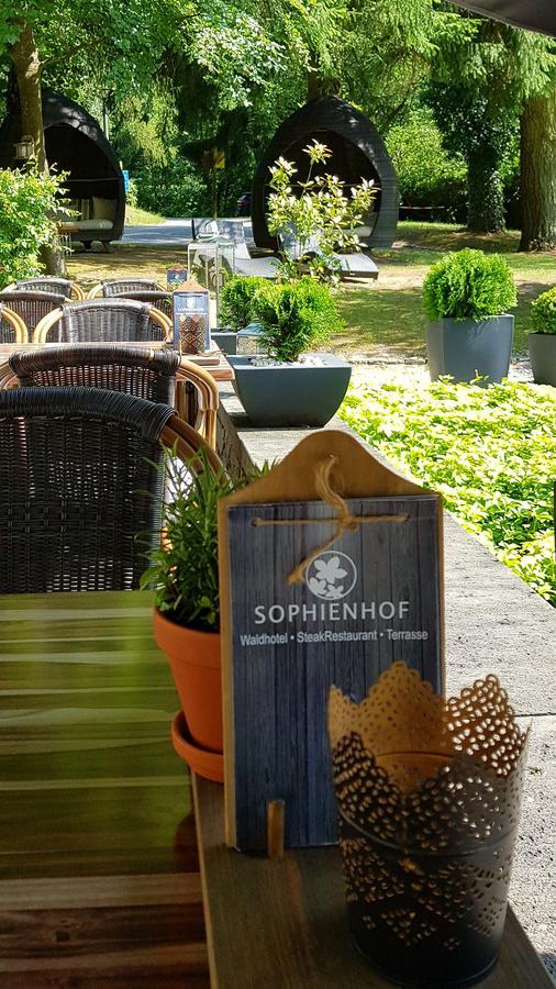 Waldhotel Sophienhof Königswinter Εξωτερικό φωτογραφία